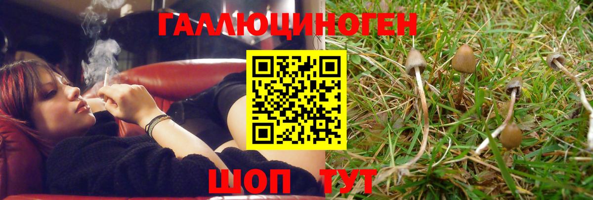 что такое   Псилоцибиновые грибы мухоморы  Псилоцибиновые грибы Psilocybe  Вход с VPN  Донской 